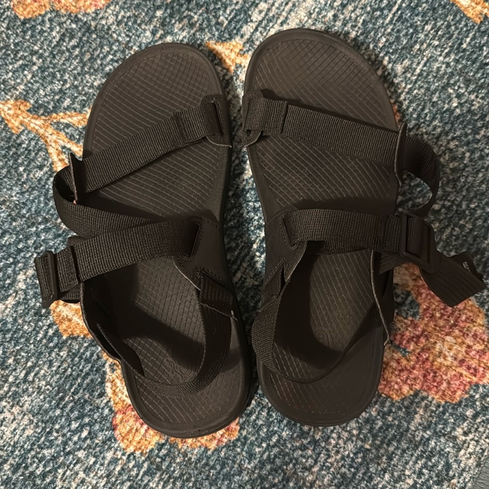 Chaco Men’s Lowdown Sandal